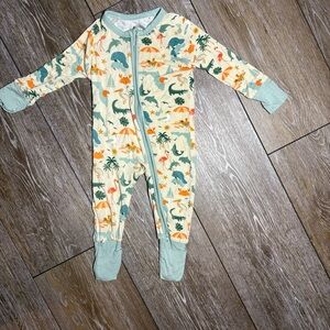 Emerson and Friends Explore Florida Zippy